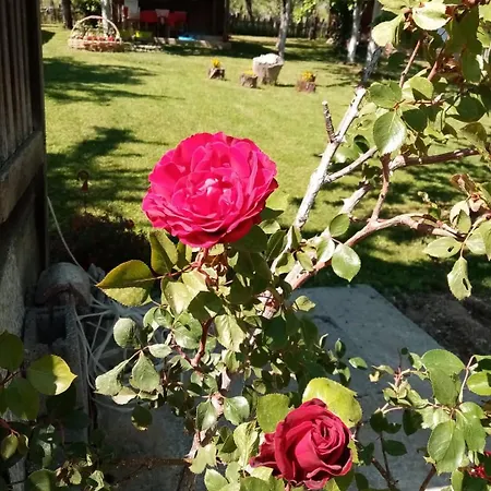 Mandic House Appartamento Subjel