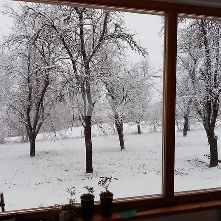 Mandic House * Subjel