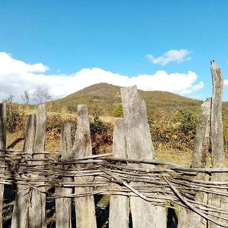 Mandic House Appartamento *