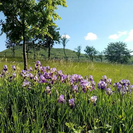 Mandic House Appartamento Subjel