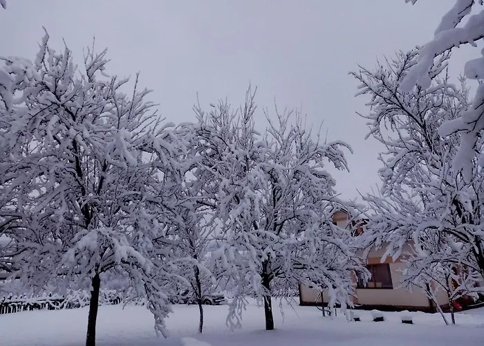 Lejlighed Mandic House Subjel