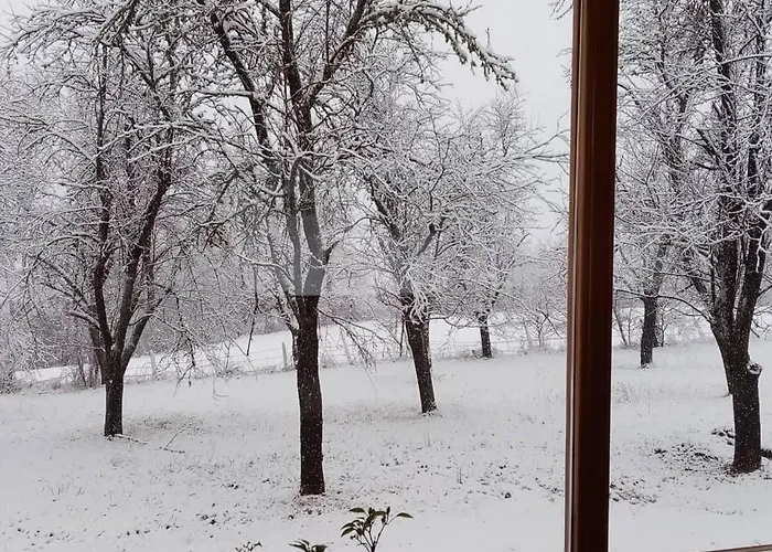 Mandic House * Subjel