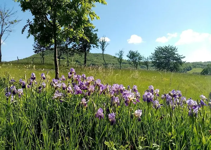 Mandic House Lejlighed Subjel