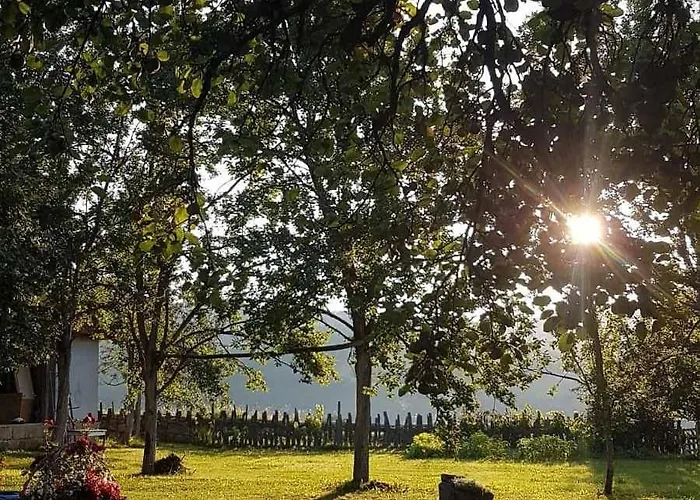 Mandic House Lejlighed *